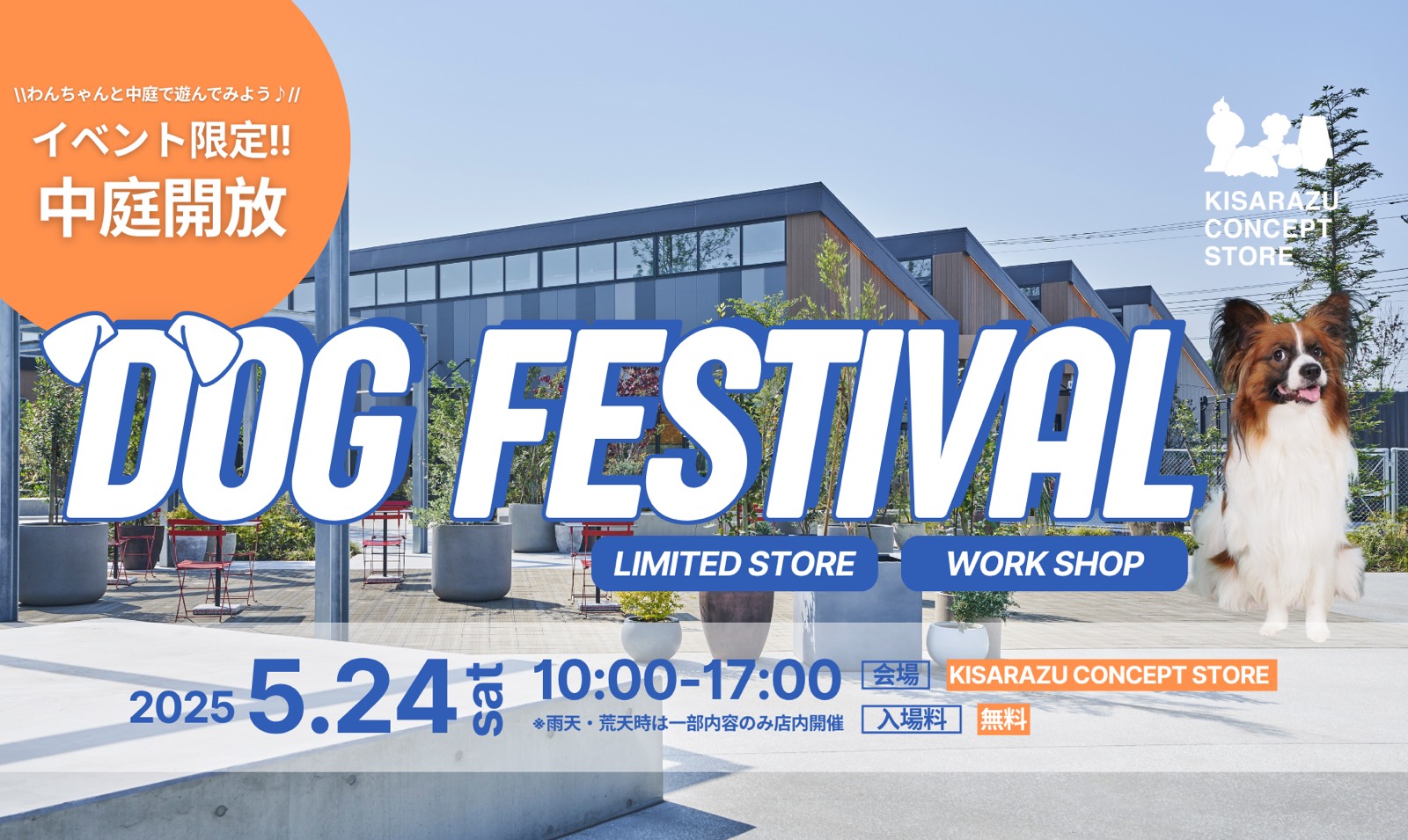 DOG FESTIVAL